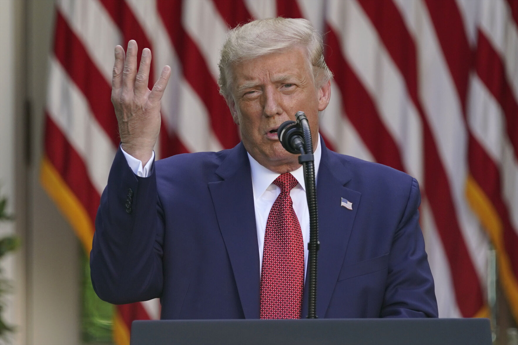 Fact Check Week